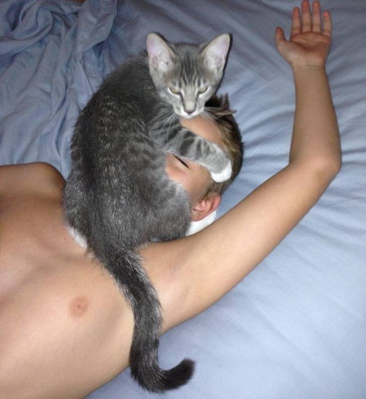 Pets Will Make Sure You Are Never Bored