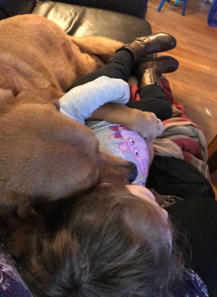 Pets Will Make Sure You Are Never Bored