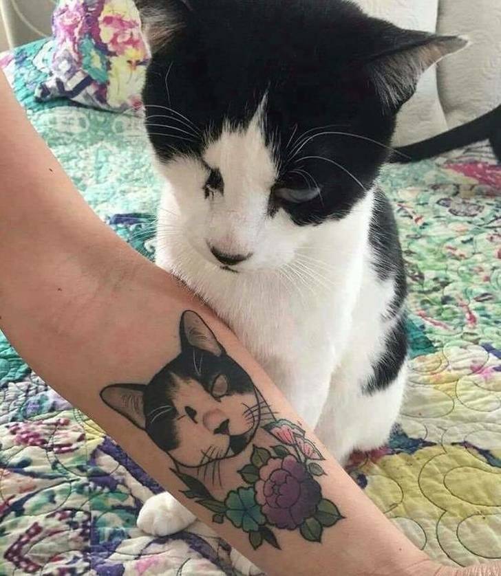 Pets Will Make Sure You Are Never Bored