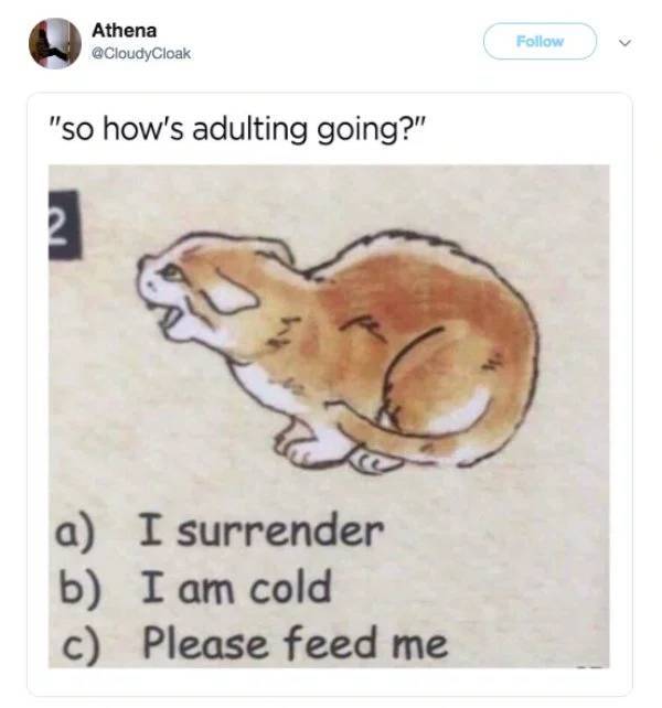 Adulting Should Be Optional!