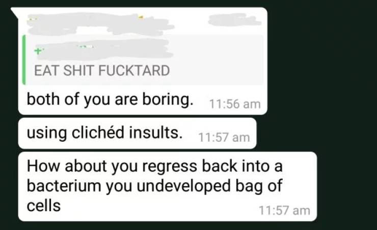 For Those Who Are Looking For THE Perfect Insult