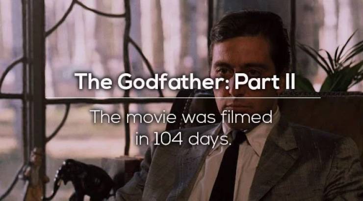 Facts About The Best Movies From iMDB Ranking