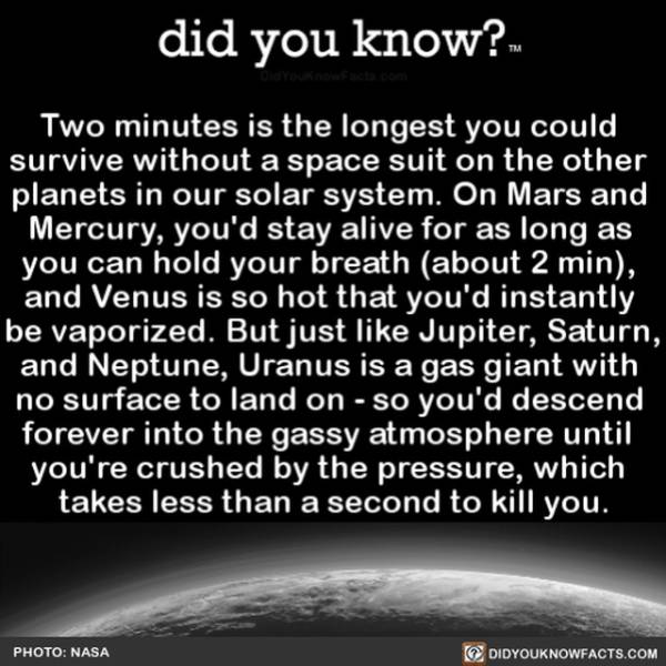 Hmm, Interesting Facts…