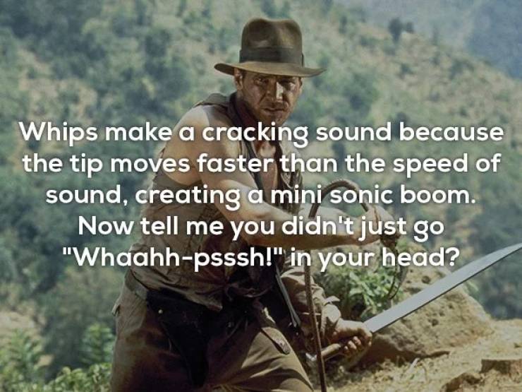 You Need To Know These Facts! Don’t Ask Why (25 pics) - Izismile.com