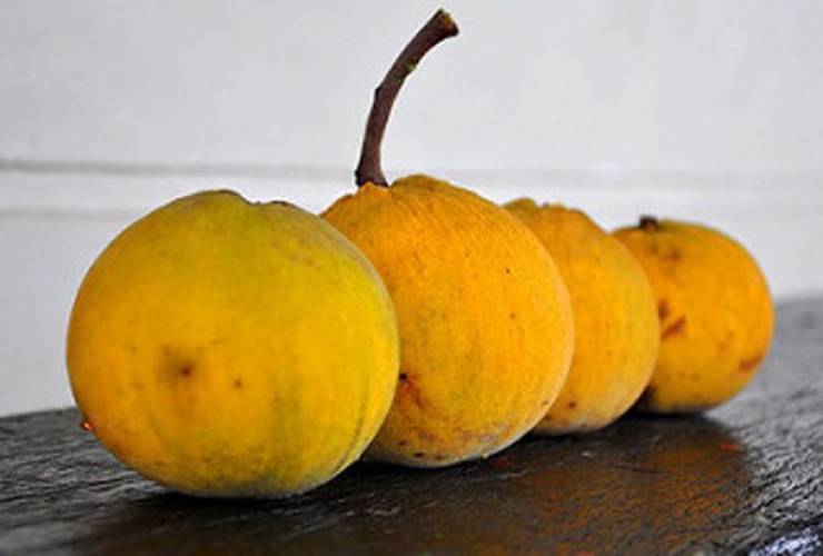 Asia Has All Kinds Of Strange Fruits You Haven’t Encountered Before