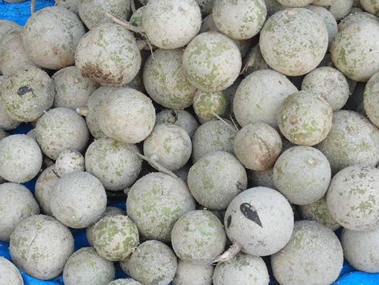 Asia Has All Kinds Of Strange Fruits You Haven’t Encountered Before