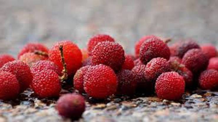 Asia Has All Kinds Of Strange Fruits You Haven’t Encountered Before