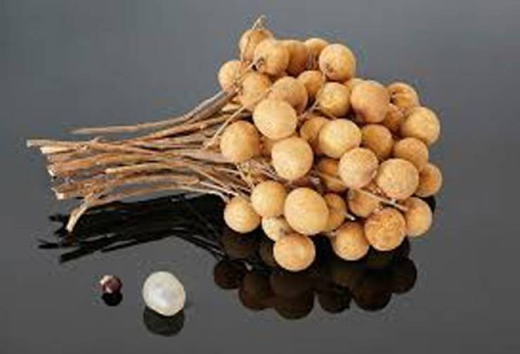 Asia Has All Kinds Of Strange Fruits You Haven’t Encountered Before
