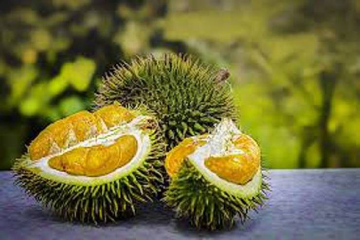Asia Has All Kinds Of Strange Fruits You Haven’t Encountered Before