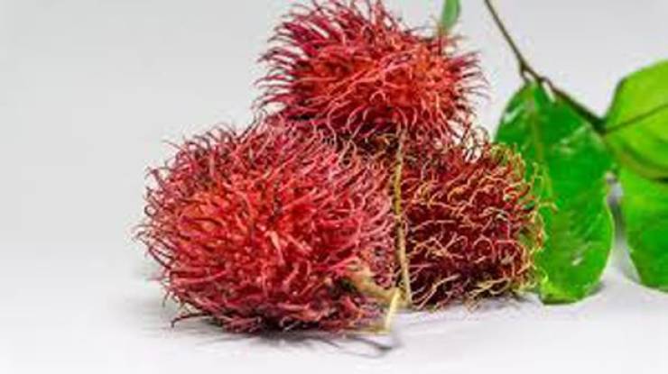 Asia Has All Kinds Of Strange Fruits You Haven’t Encountered Before
