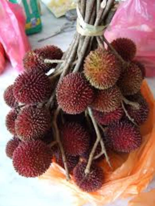 Asia Has All Kinds Of Strange Fruits You Haven’t Encountered Before