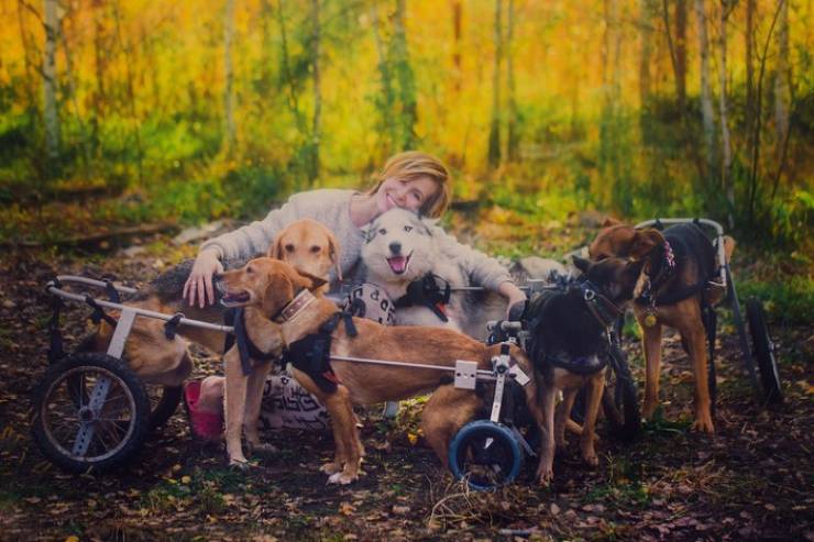 From A Top Photographer Job To A Shelter With 100 Sick Dogs
