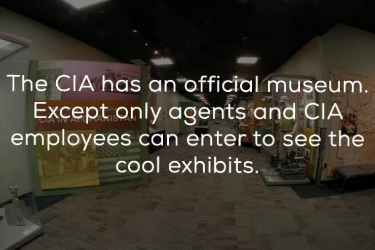 Undercover Facts About CIA Secrets