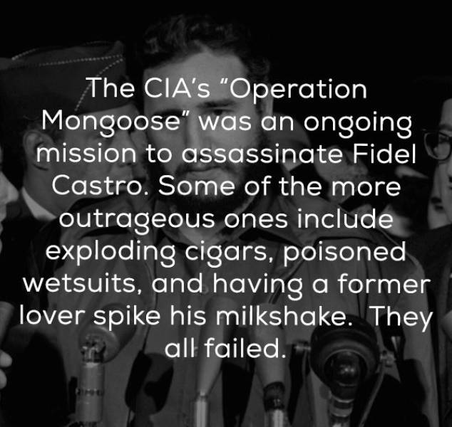 Undercover Facts About CIA Secrets