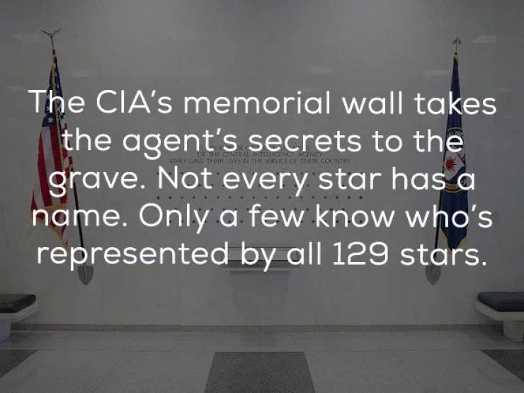 Undercover Facts About CIA Secrets