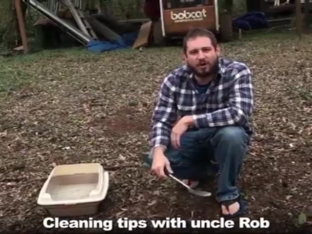 How To Clean A Cat Litter Box
