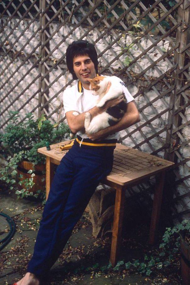 Freddie Mercury Was A Crazy Cat Guy!