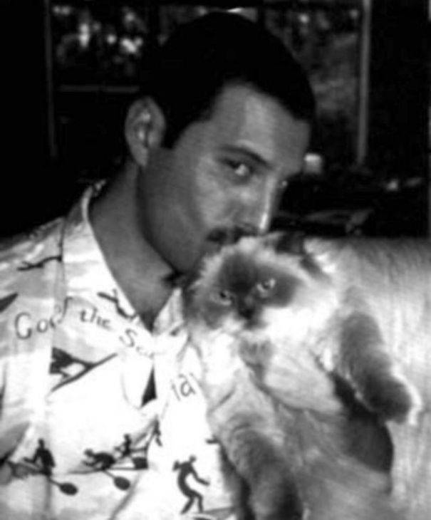 Freddie Mercury egy ÅrÃ¼lt macska srÃ¡c volt!
