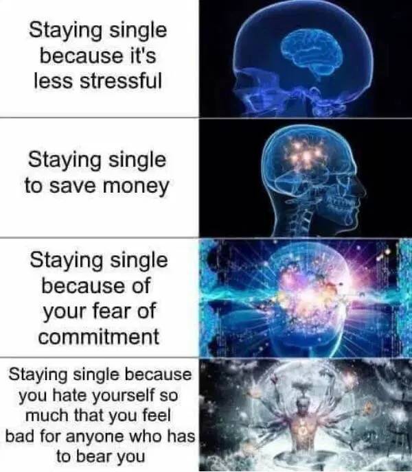 These Memes Are Absolutely Fine With Being Single