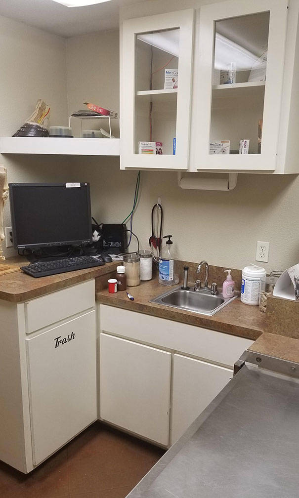 Cats Will Do Anything To Avoid Going To The Vet