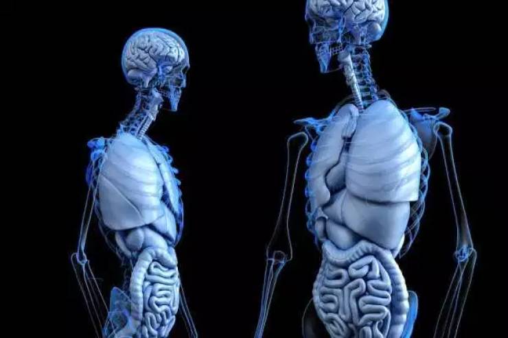 How Our Bodies Change As We Grow Older