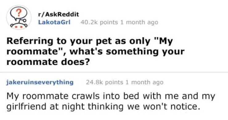 Internet Responses That Deserve To Be Shared