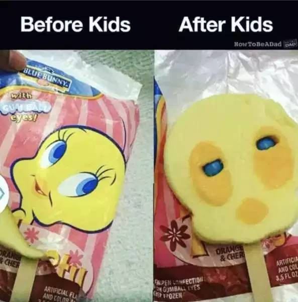 Memes Before Kids And Memes After Kids