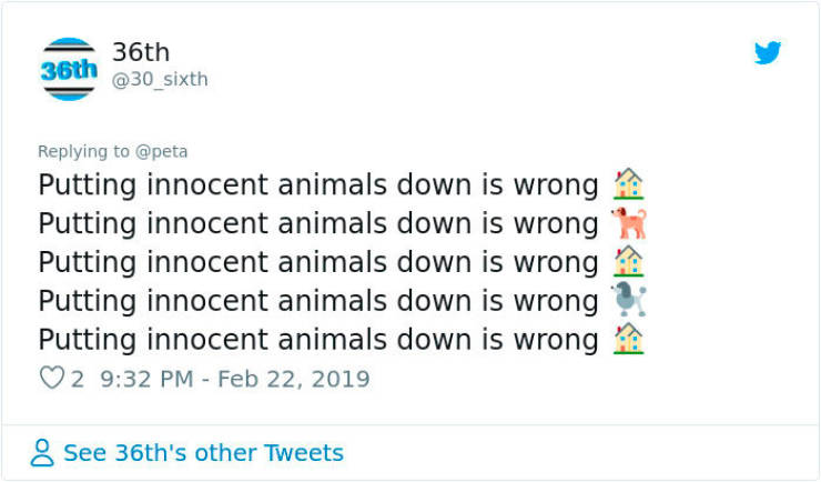 PETA Criticized Steve Irwin Themed Google Doodle, And People Did Not Like It