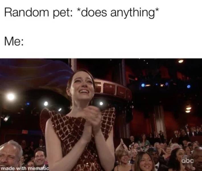 These Oscar Memes Are Far More Intriguing Than The Show Itself