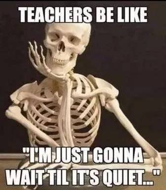 These Teacher Memes Deserve A Raise