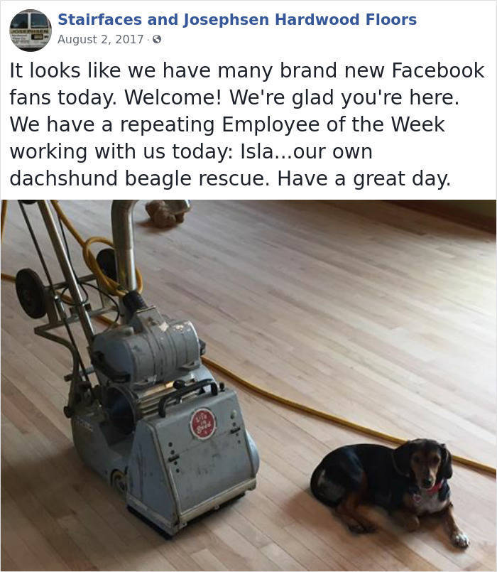 This Company Has Very Unusual Employees Of The Week