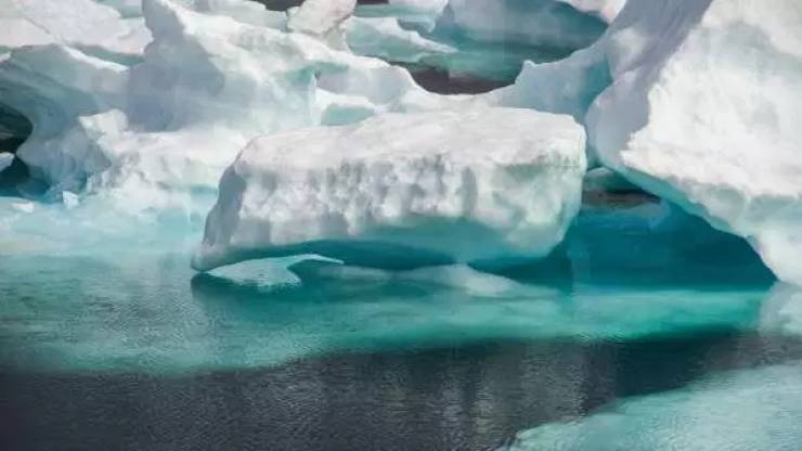 Freezing Cold Facts About The Arctic