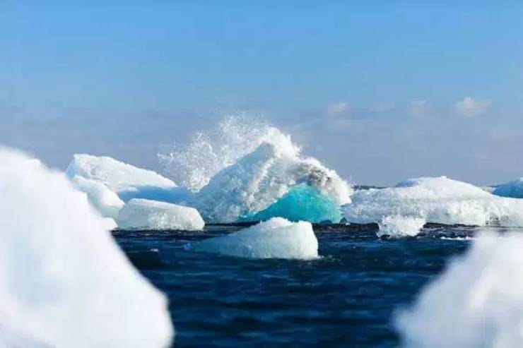 Freezing Cold Facts About The Arctic