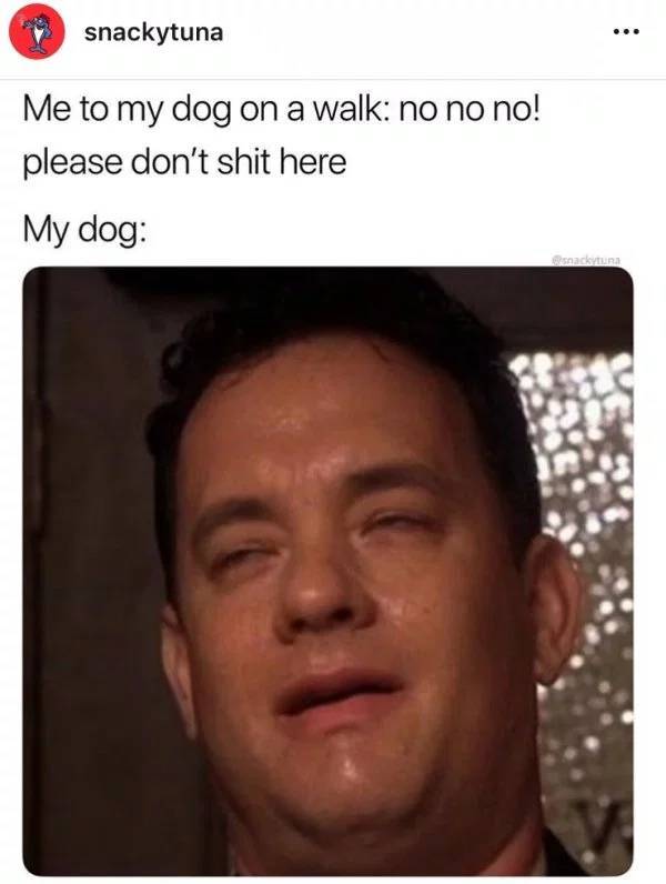 Woof, Dog Memes!
