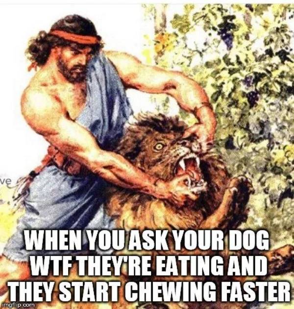 Woof, Dog Memes!