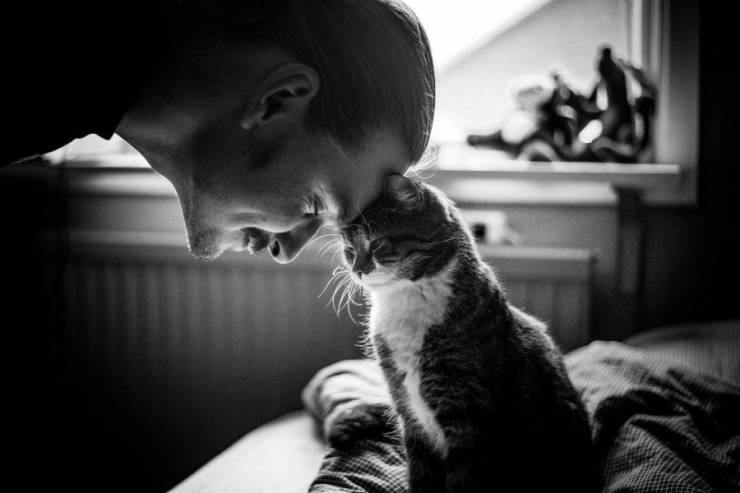 Fine Examples When A Picture Says More Than Just A Thousand Words