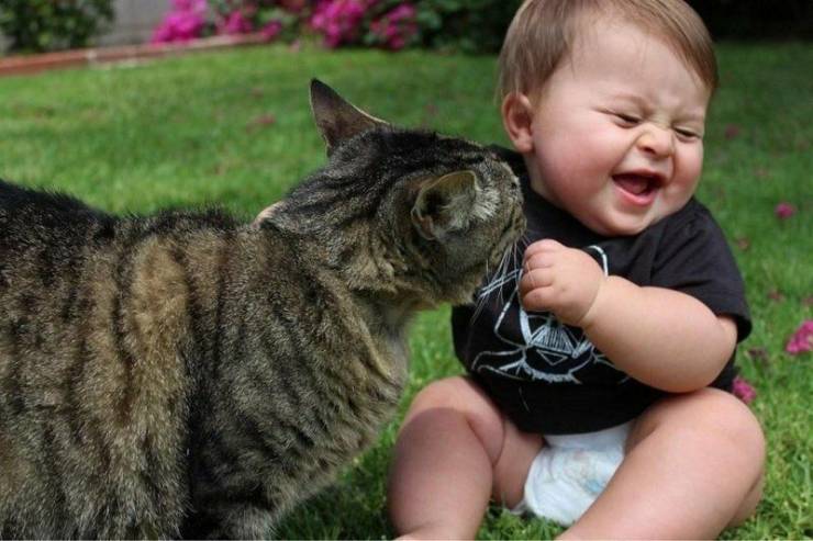 Fine Examples When A Picture Says More Than Just A Thousand Words