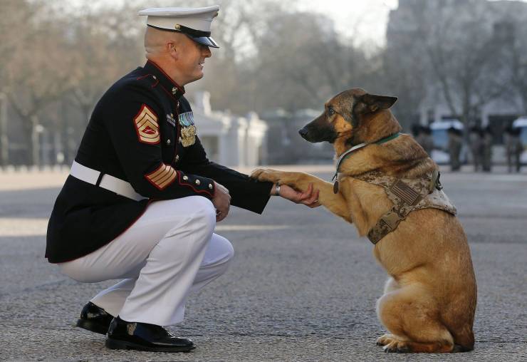 Fine Examples When A Picture Says More Than Just A Thousand Words