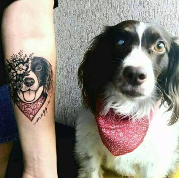 Fine Examples When A Picture Says More Than Just A Thousand Words