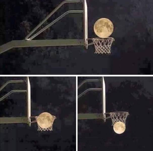 Fine Examples When A Picture Says More Than Just A Thousand Words