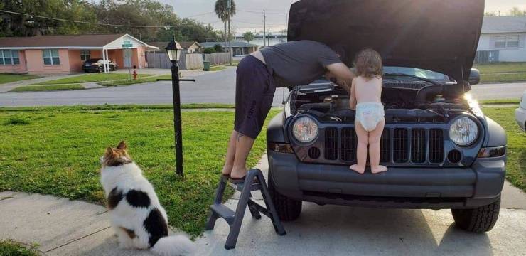 Fine Examples When A Picture Says More Than Just A Thousand Words