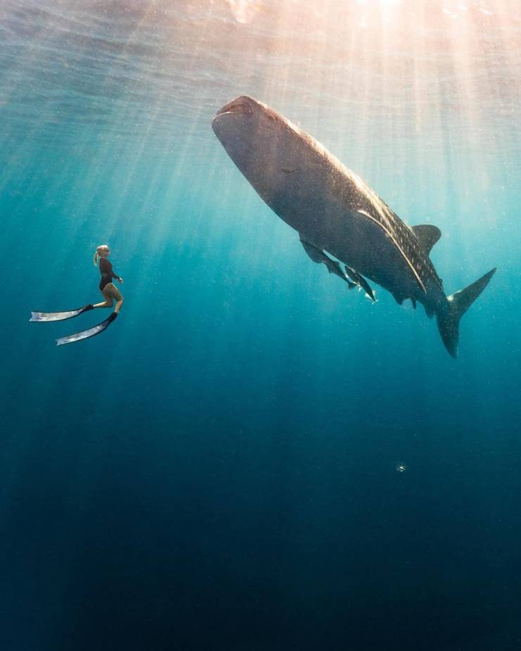 Fine Examples When A Picture Says More Than Just A Thousand Words