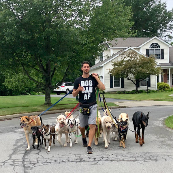 There Is A Real Dog Gang In New York