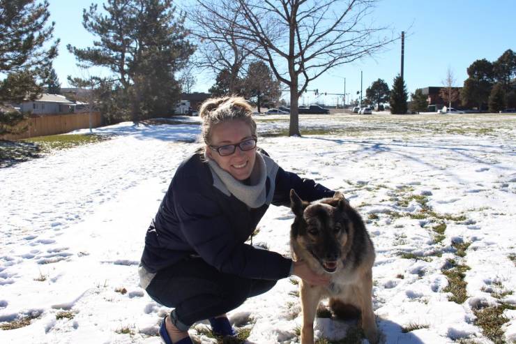 Last Day Of Life Of A 15-Year-Old German Shepherd