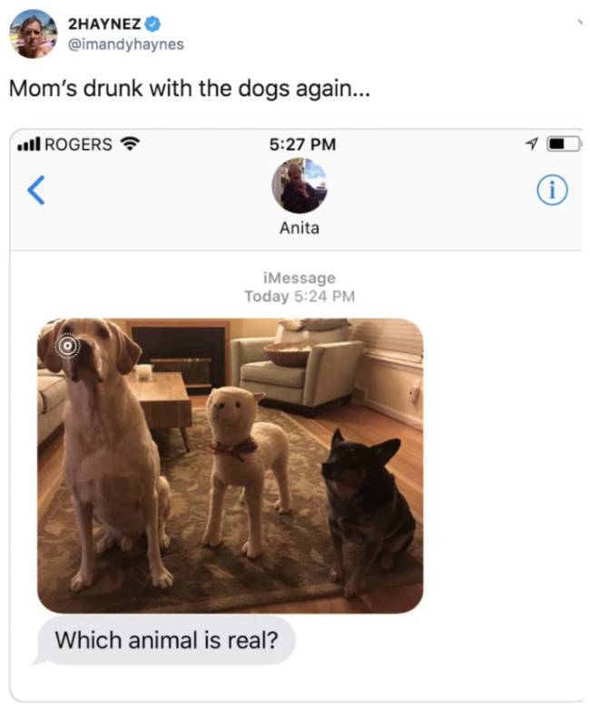 Parents Shouldn’t Drink & Text