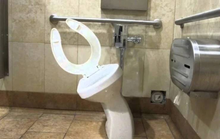 이들은 확실히 최고의 화장실이 아니다 ...
