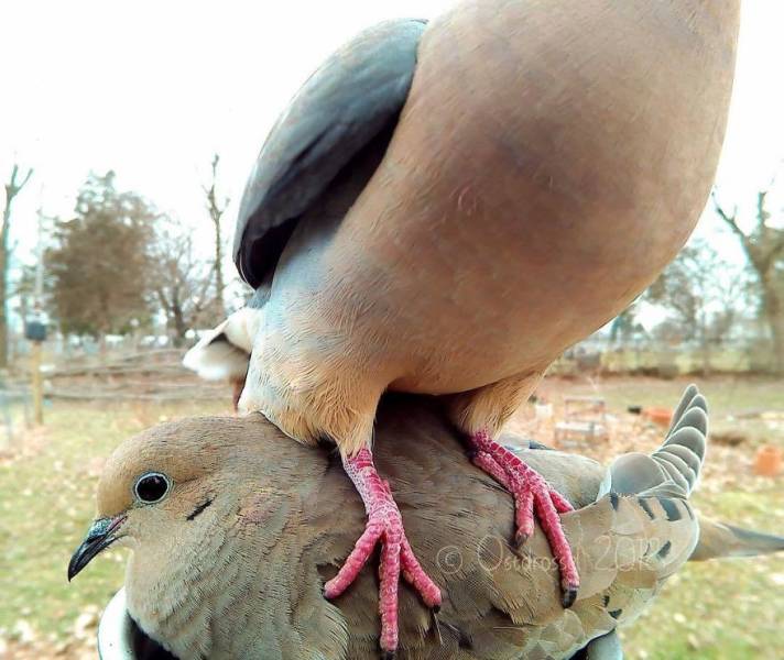 Photographer Finds A Way To Get Very Close Photos Of Birds