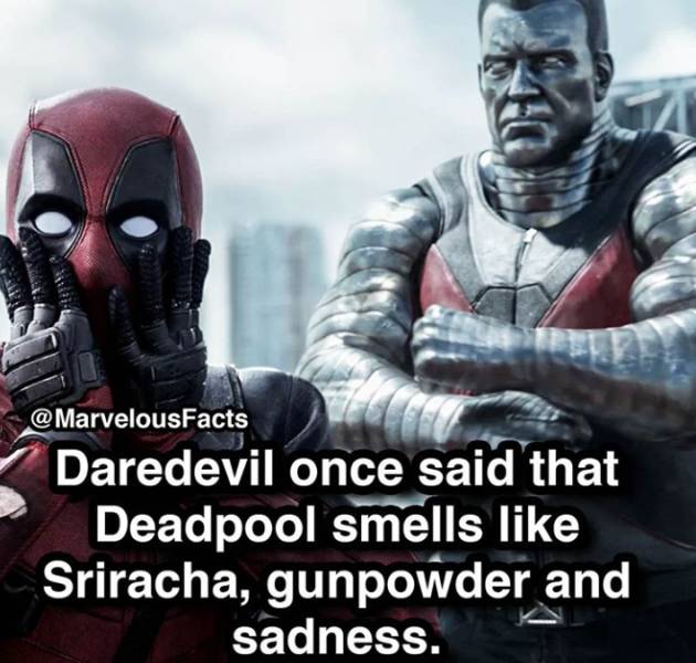 Action-Packed Facts About Marvel Superheroes
