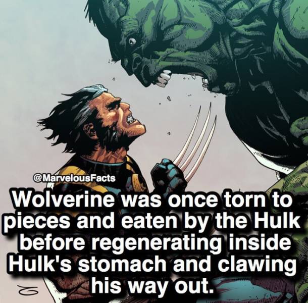 Action-Packed Facts About Marvel Superheroes