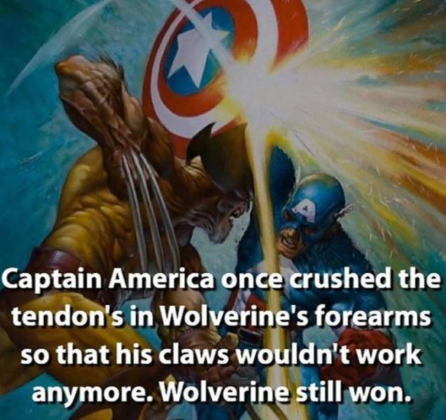 Action-Packed Facts About Marvel Superheroes